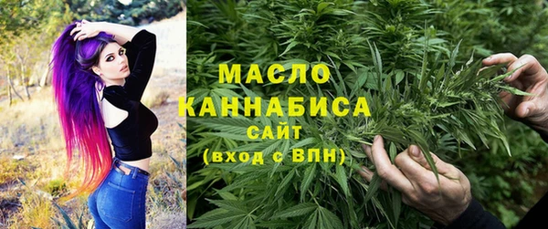 мдпв Магас