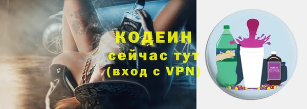 стафф Майский