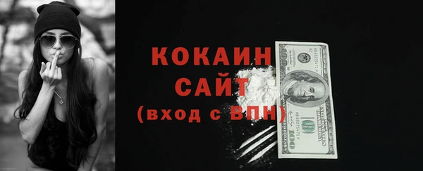 хмурый Лиски