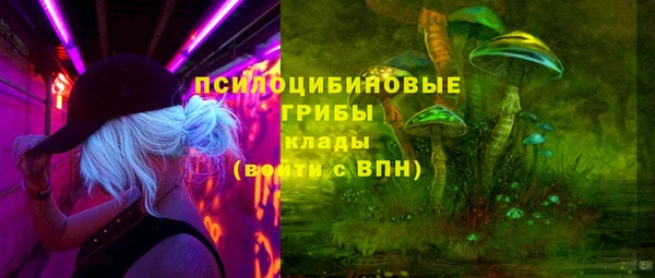 стафф Майский