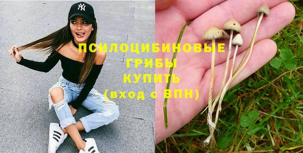 стафф Майский