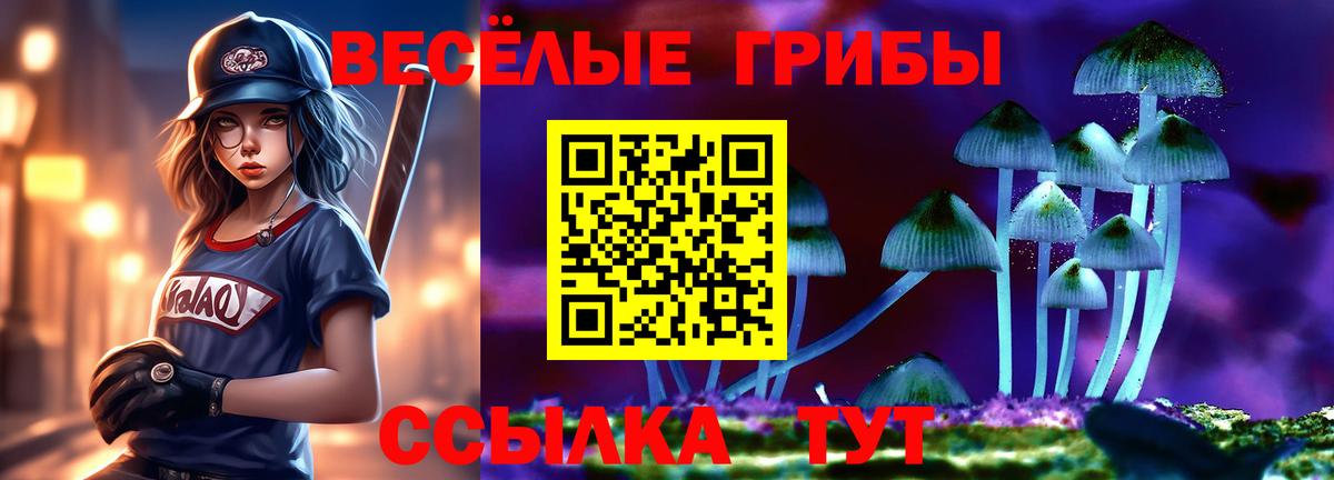 Галлюциногенные грибы Magic Shrooms  Псилоцибиновые грибы Psilocybine cubensis  Рославль  Вход с VPN 